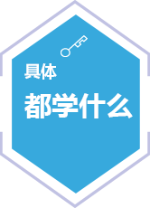 具体 都学什么