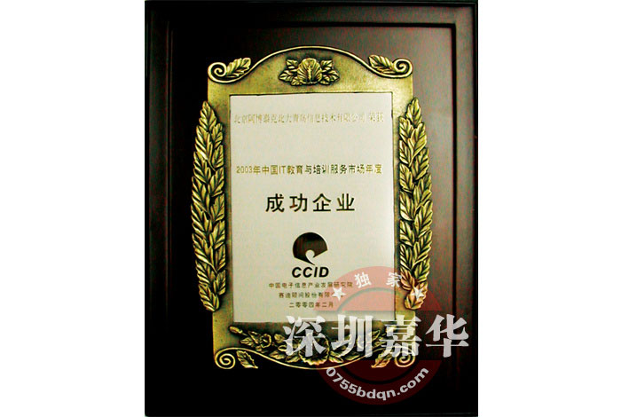 2003年中国IT教育培训成功企业