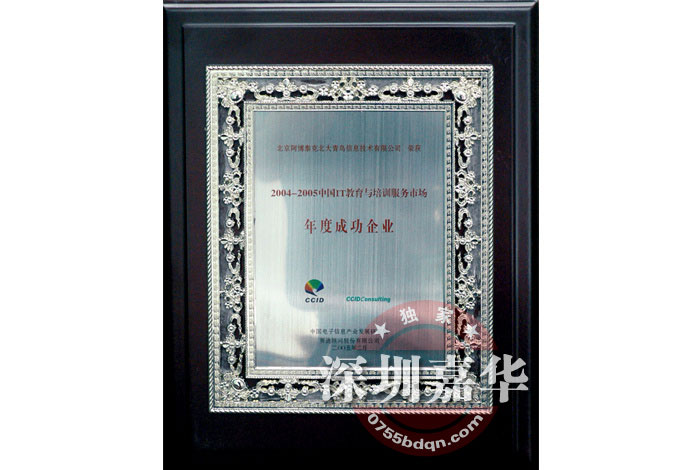 2004年中国IT教育培训成功企业