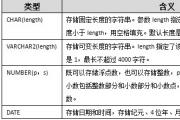 Oracle数据类型