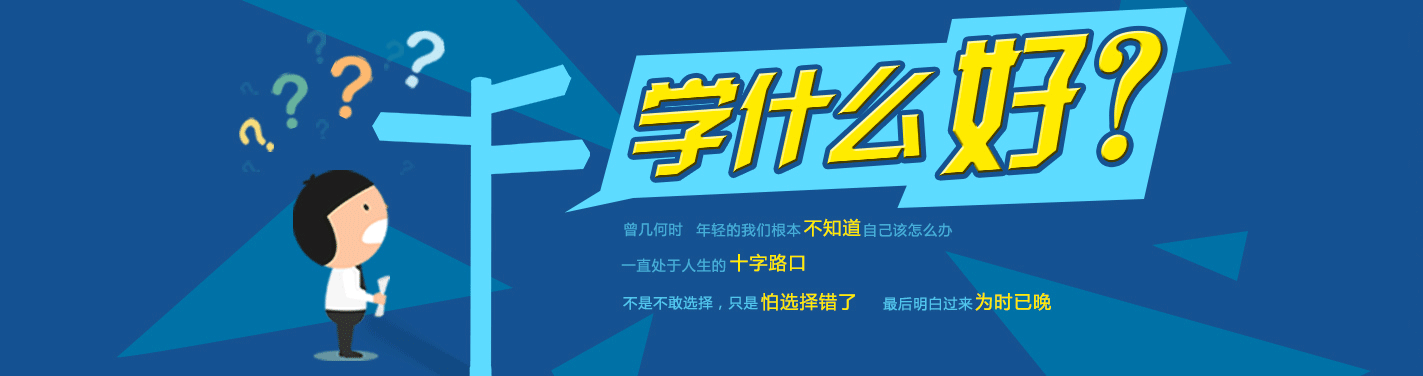 学什么好