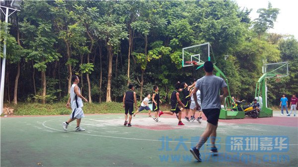 篮球比赛 (6)