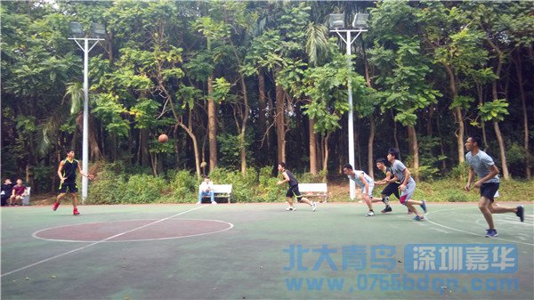 篮球比赛 (7)