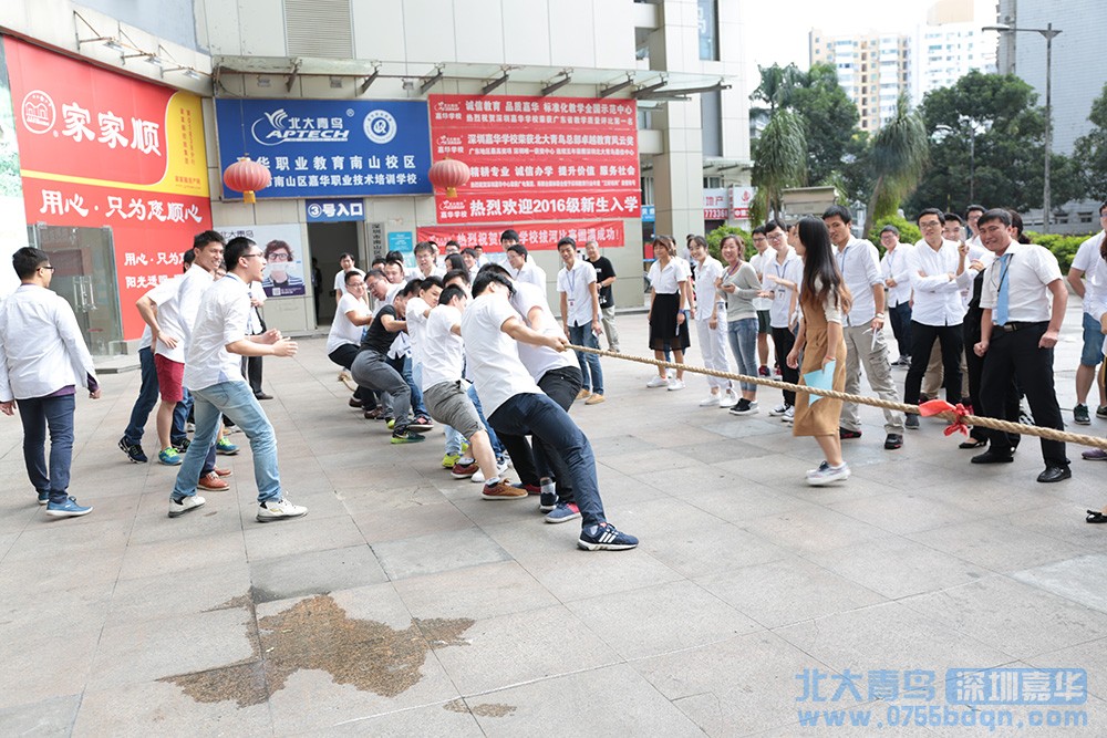 北大青鸟嘉华Java学子拔河对抗飒爽风姿1