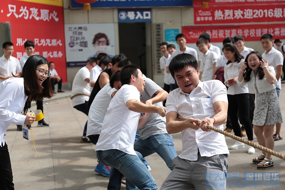 看北大青鸟嘉华Java学子拔河对抗飒爽风姿5