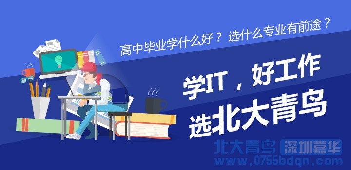 湛江北大青鸟：初高中生学习什么技术好？