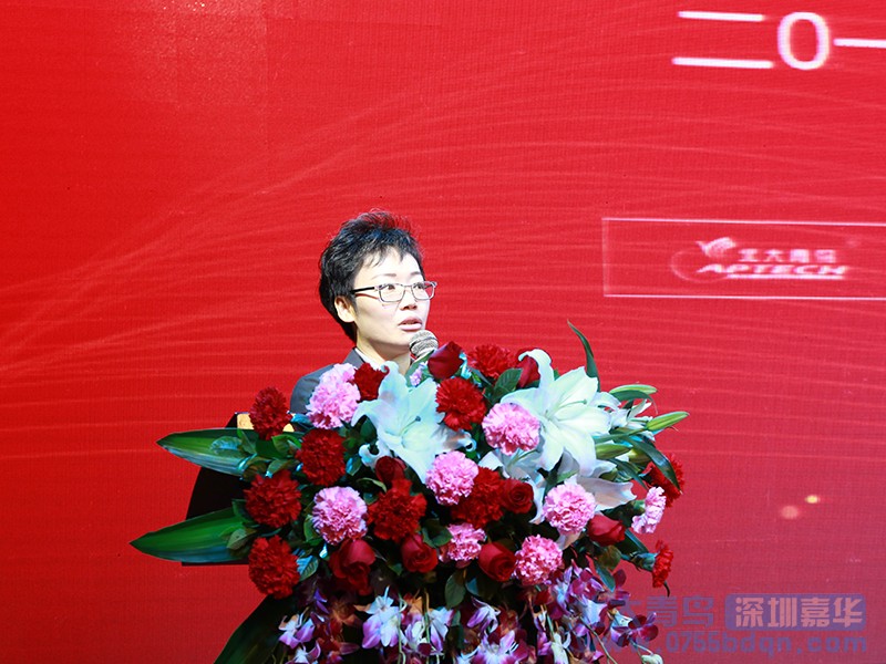 嘉华2018年度表彰大会暨2019年迎新春联欢晚会